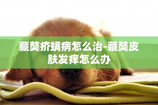 藏獒疥螨病怎么治-藏獒皮膚發癢怎么辦