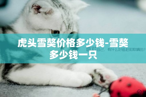虎頭雪獒價格多少錢-雪獒多少錢一只