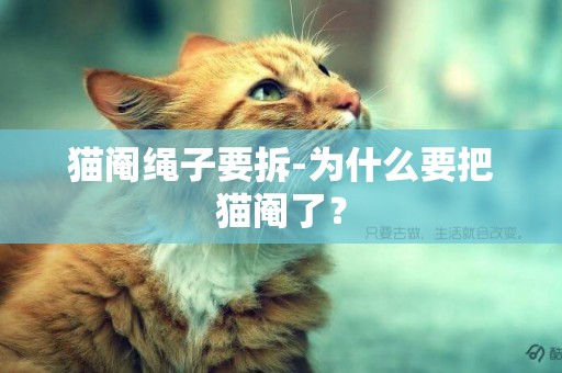 貓閹繩子要拆-為什么要把貓閹了？