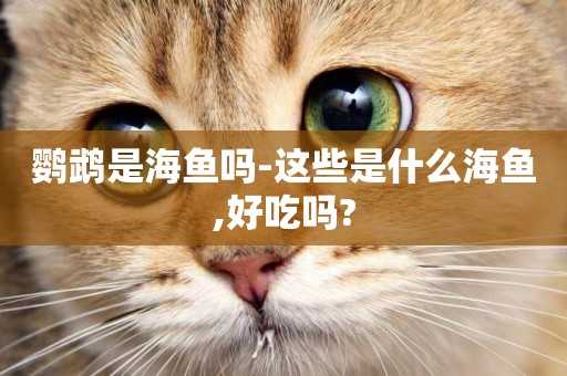 鸚鵡是海魚嗎-這些是什么海魚,好吃嗎?