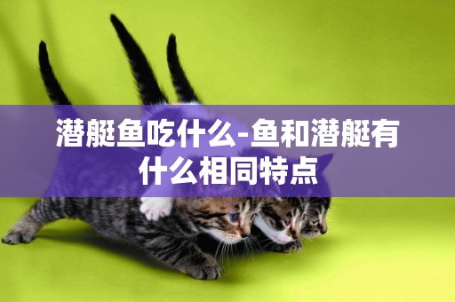 潛艇魚吃什么-魚和潛艇有什么相同特點