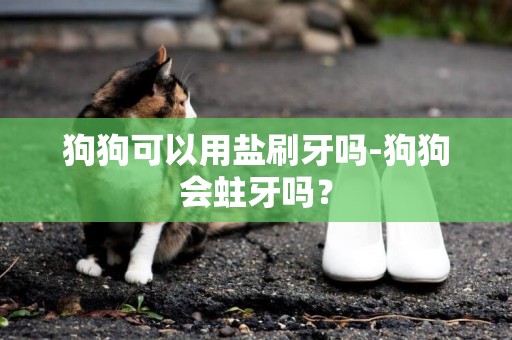 狗狗可以用鹽刷牙嗎-狗狗會蛀牙嗎？