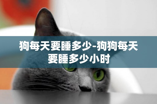 狗每天要睡多少-狗狗每天要睡多少小時