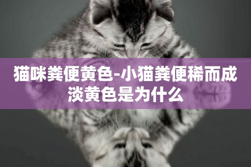 貓咪糞便黃色-小貓糞便稀而成淡黃色是為什么