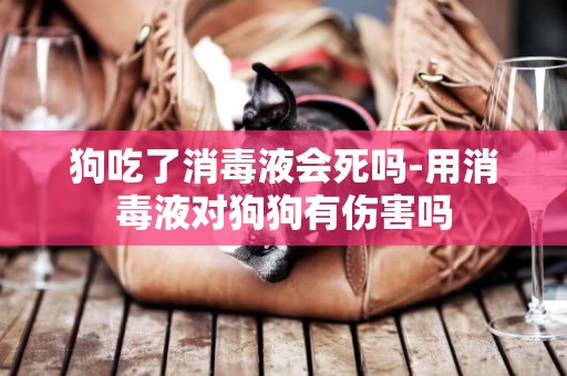 狗吃了消毒液會死嗎-用消毒液對狗狗有傷害嗎