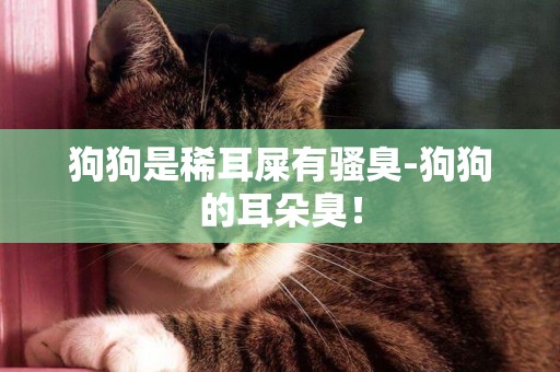 狗狗是稀耳屎有騷臭-狗狗的耳朵臭！
