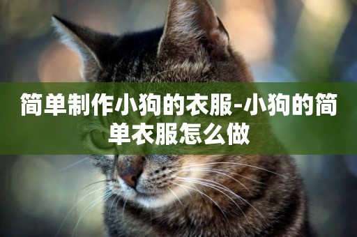 簡單制作小狗的衣服-小狗的簡單衣服怎么做