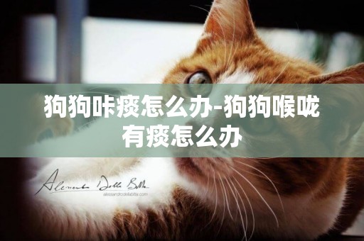 狗狗咔痰怎么辦-狗狗喉嚨有痰怎么辦