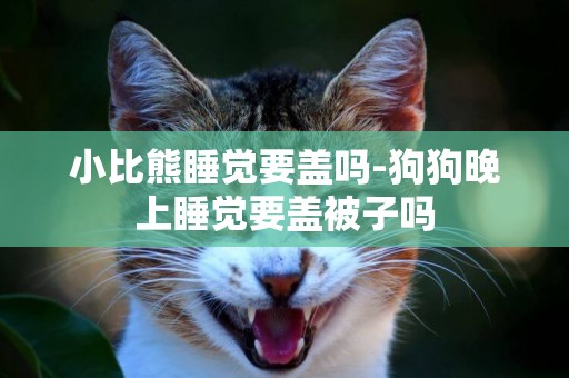 小比熊睡覺要蓋嗎-狗狗晚上睡覺要蓋被子嗎