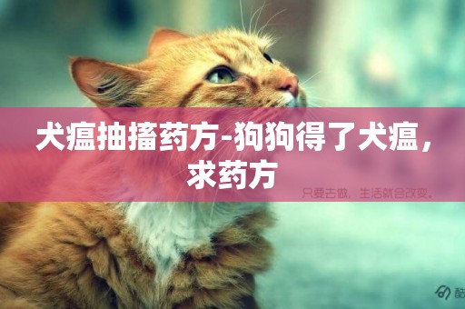 犬瘟抽搐藥方-狗狗得了犬瘟，求藥方