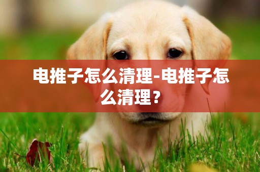 電推子怎么清理-電推子怎么清理？