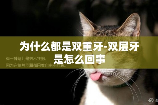 為什么都是雙重牙-雙層牙是怎么回事