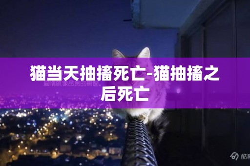 貓當天抽搐死亡-貓抽搐之后死亡