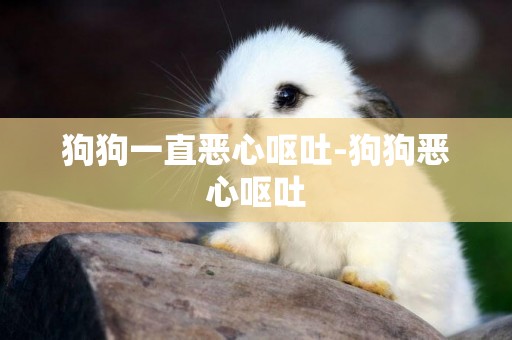 狗狗一直惡心嘔吐-狗狗惡心嘔吐