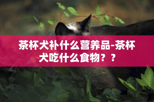 茶杯犬補什么營養品-茶杯犬吃什么食物？？