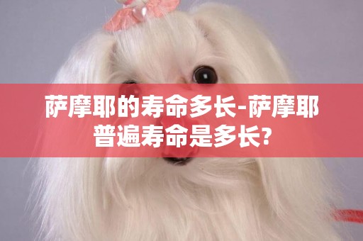 薩摩耶的壽命多長-薩摩耶普遍壽命是多長?