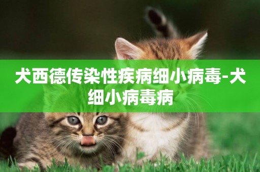 犬西德傳染性疾病細小病毒-犬細小病毒病