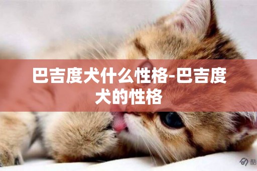 巴吉度犬什么性格-巴吉度犬的性格