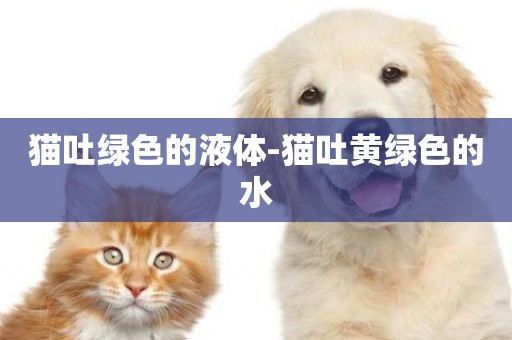 貓吐綠色的液體-貓吐黃綠色的水