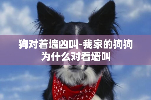 狗對著墻兇叫-我家的狗狗為什么對著墻叫