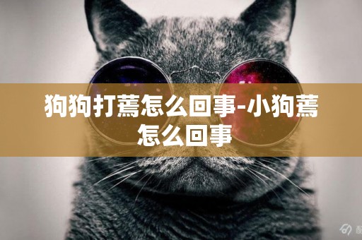 狗狗打蔫怎么回事-小狗蔫 怎么回事