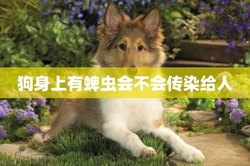狗身上有蜱蟲會不會傳染給人