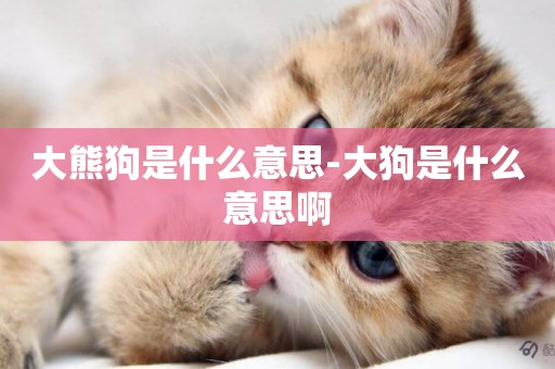 大熊狗是什么意思-大狗是什么意思啊