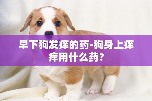 早下狗發癢的藥-狗身上癢癢用什么藥？