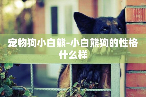 寵物狗小白熊-小白熊狗的性格什么樣