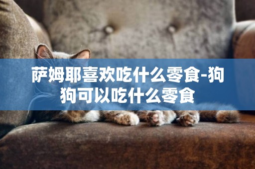 薩姆耶喜歡吃什么零食-狗狗可以吃什么零食