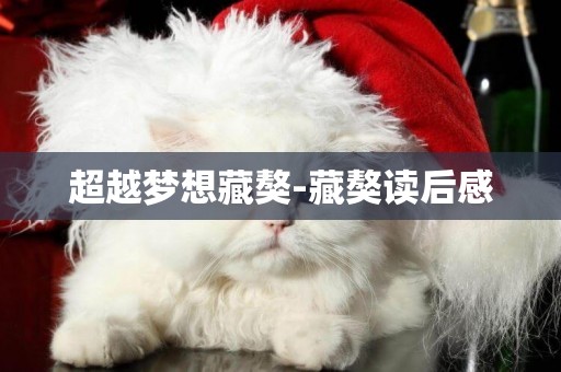超越夢想藏獒-藏獒讀后感