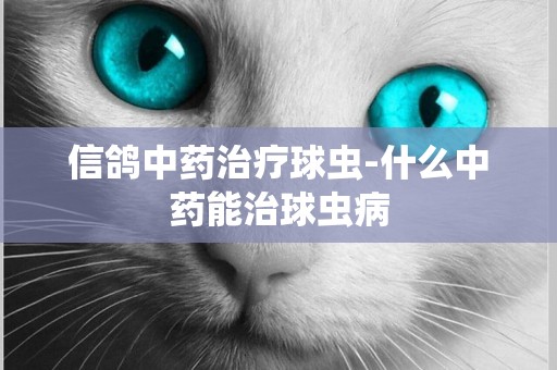 信鴿中藥治療球蟲-什么中藥能治球蟲病