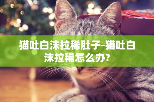 貓吐白沫拉稀肚子-貓吐白沫拉稀怎么辦?