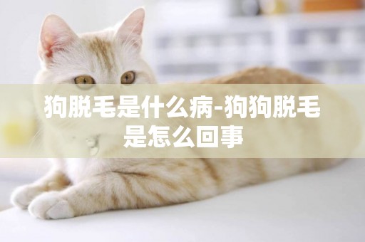 狗脫毛是什么病-狗狗脫毛是怎么回事
