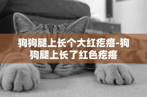 狗狗腿上長個大紅疙瘩-狗狗腿上長了紅色疙瘩