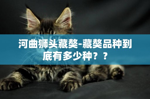 河曲獅頭藏獒-藏獒品種到底有多少種？？