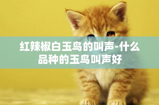 紅辣椒白玉鳥的叫聲-什么品種的玉鳥叫聲好