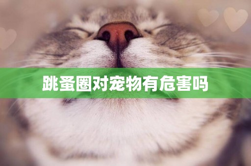 跳蚤圈對寵物有危害嗎
