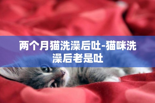 兩個月貓洗澡后吐-貓咪洗澡后老是吐