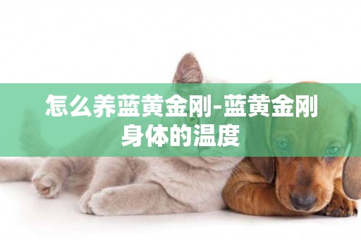 怎么養藍黃金剛-藍黃金剛身體的溫度