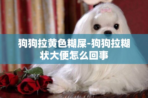 狗狗拉黃色糊屎-狗狗拉糊狀大便怎么回事