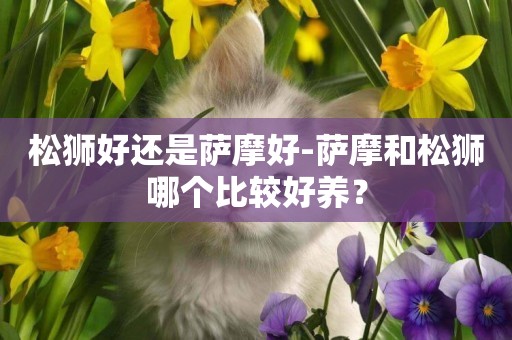 松獅好還是薩摩好-薩摩和松獅哪個比較好養？