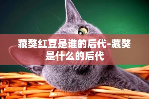 藏獒紅豆是誰的后代-藏獒是什么的后代