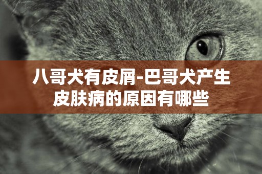 八哥犬有皮屑-巴哥犬產生皮膚病的原因有哪些