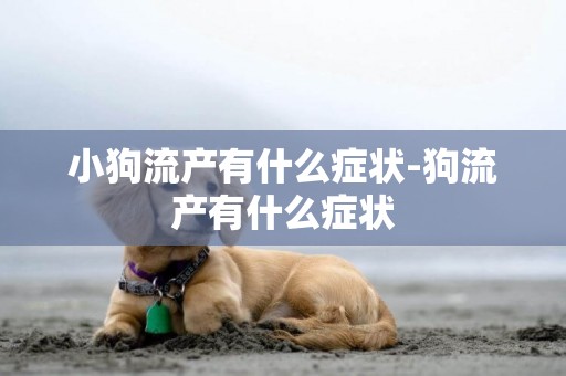 小狗流產有什么癥狀-狗流產有什么癥狀
