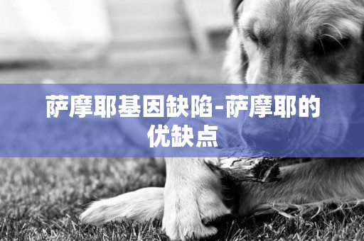 薩摩耶基因缺陷-薩摩耶的優缺點