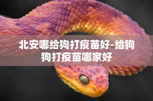 北安哪給狗打疫苗好-給狗狗打疫苗哪家好
