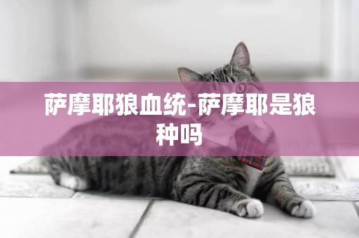 薩摩耶狼血統-薩摩耶是狼種嗎