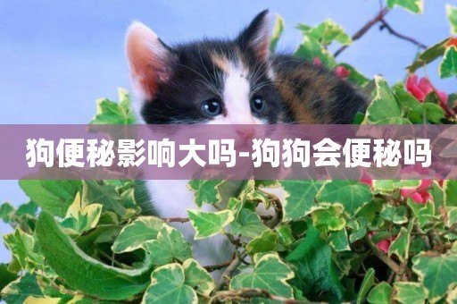 狗便秘影響大嗎-狗狗會便秘嗎