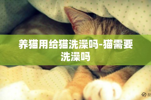 養貓用給貓洗澡嗎-貓需要洗澡嗎